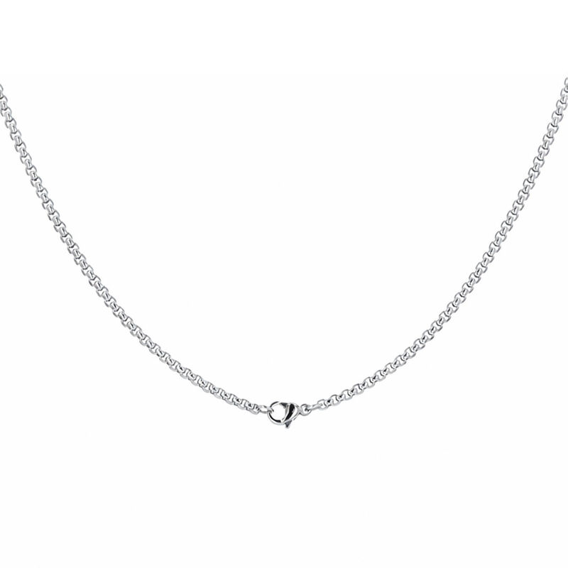 Dije De Acero Con Cadena De 55 Cm Para Caballer... image number null