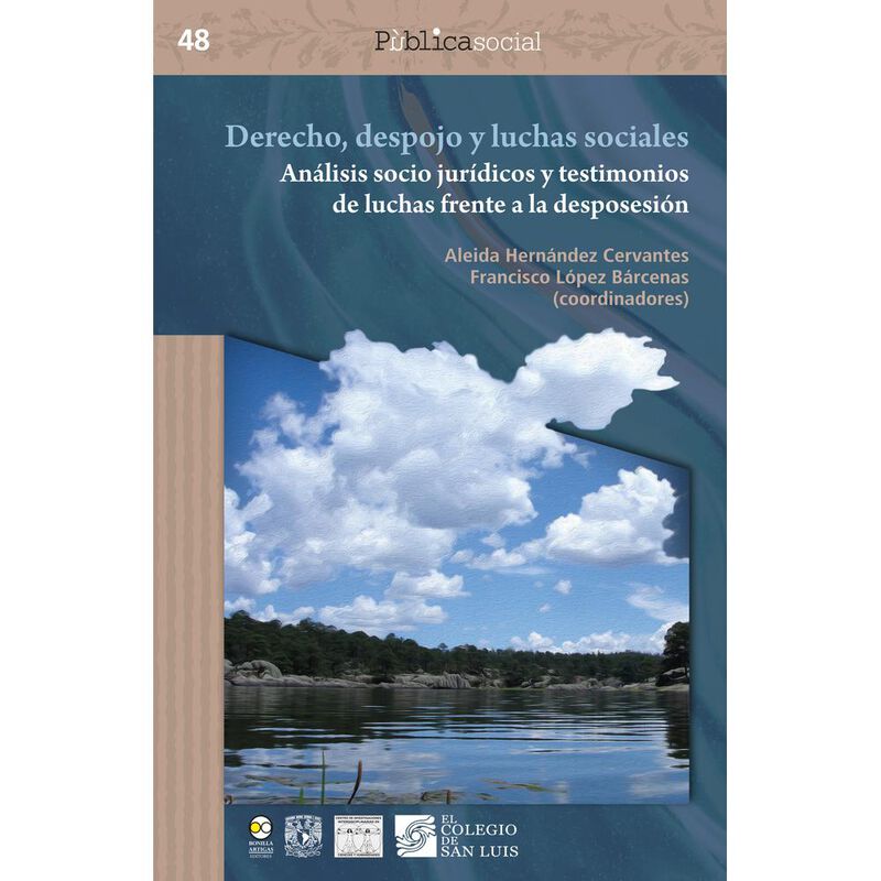 Derecho, despojo y luchas sociales : an&aacute;lisis s... image number null
