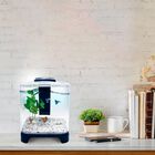 Lomas Acuario Mini para Peces