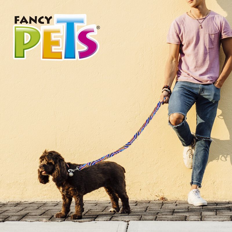 Fancy Pets Correa Galería Color Mix Tamaño Medi... image number null