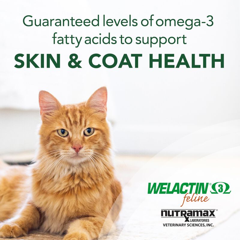 Suplemento Nutramax Welactin Omega-3 De Aceite ... image number null