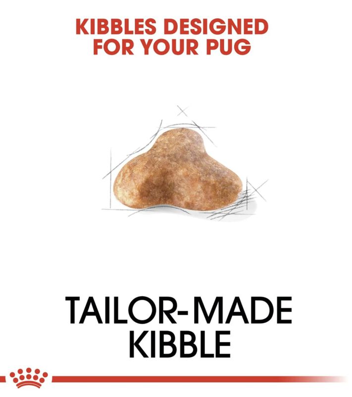 Royal Canin Bhn Pug 4.55 Kg Original Sellado image number null