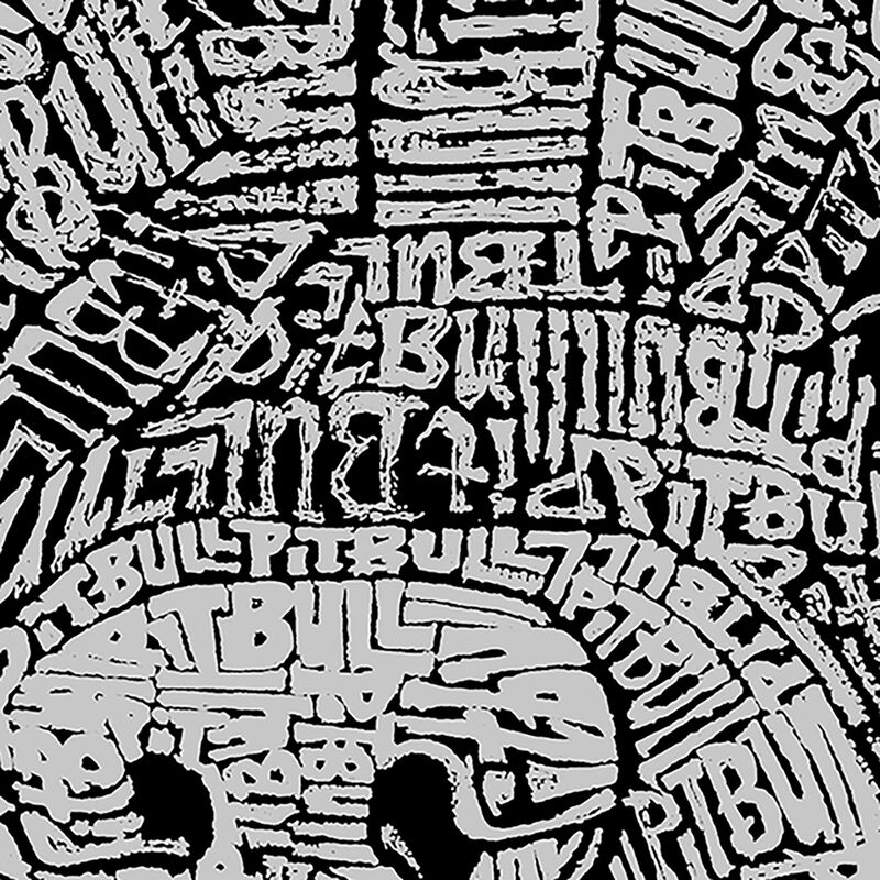 Camiseta De Manga Larga Word Art Para Ni&ntilde;o - Ca... image number null