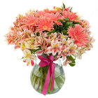 Jarr&oacute;n Ilusi&oacute;n