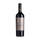 Vino Tinto Taymente Cabernet Sauvignon 750ml
