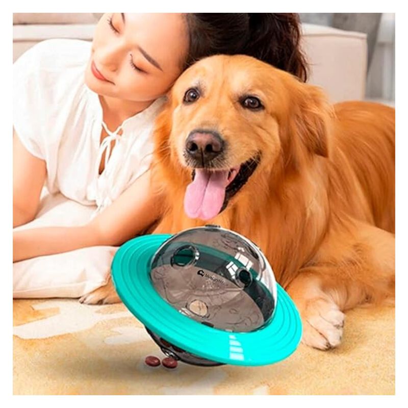 Plato para Perro de Alimentaci&oacute;n Lenta Blueland... image number null