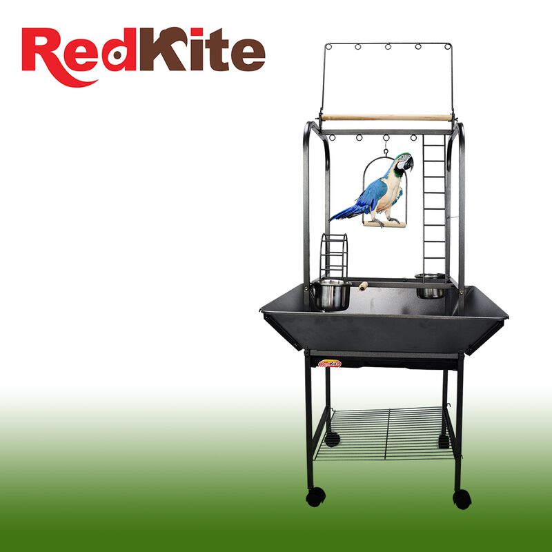 Gimnasio Para Loro image number null