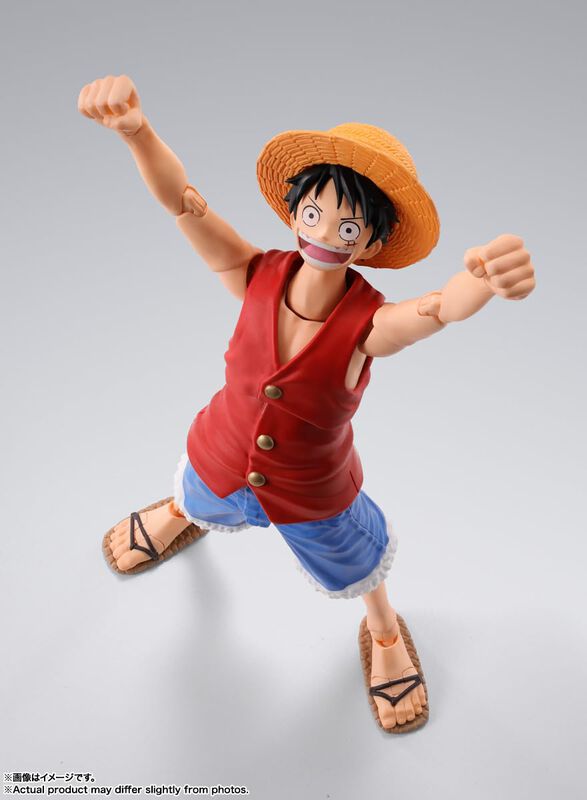 Figura De Acci&oacute;n Bandai Spirits S.h.figuarts Mo... image number null