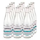 Agua Natural Tehuac&aacute;n Sin Gas Platino Pack 24 Und 355ml