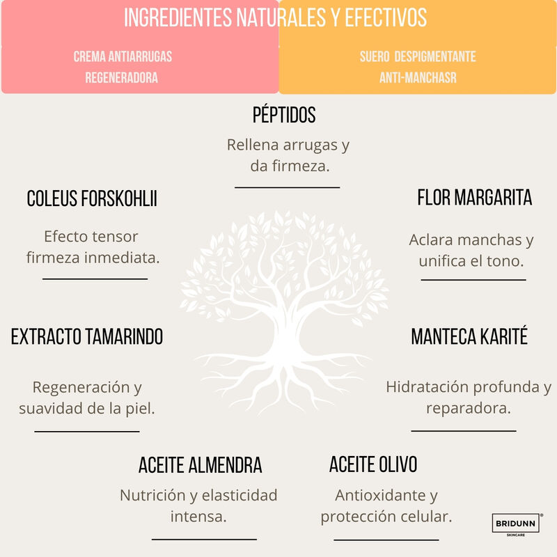 BRIDUNN Kit Facial Natural Despigmentante Antie... image number null