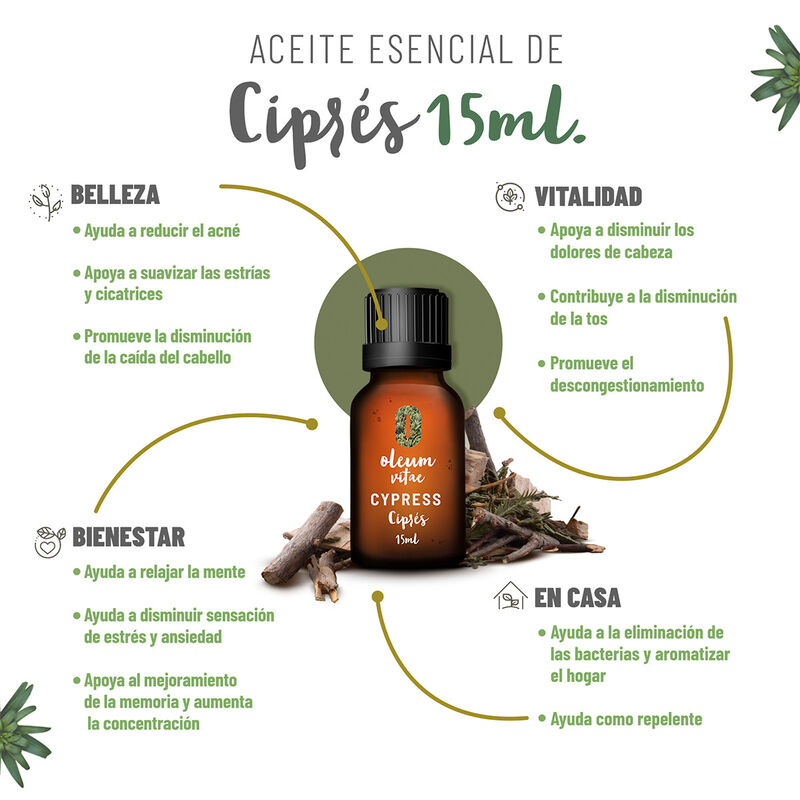Aceite Esencial Puro Cipres 15 ml 100% Puro y O... image number null