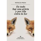 En Todo Hay Una Grieta Y Por Ella Entra La Luz, De Pron Pat