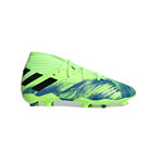 Zapatos de F&uacute;tbol Adidas Nemeziz 19.3 FG J FV4002 17 CM