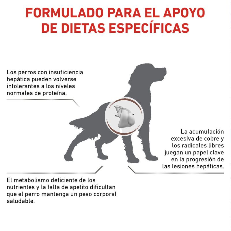 Royal Canin Hepatic Dog 3.5 Kg Original Sellado image number null
