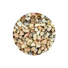 Lomas Grava Para Acuario De Grano Grueso Para Peceras Y Acuarios Contiene 3 Kilos