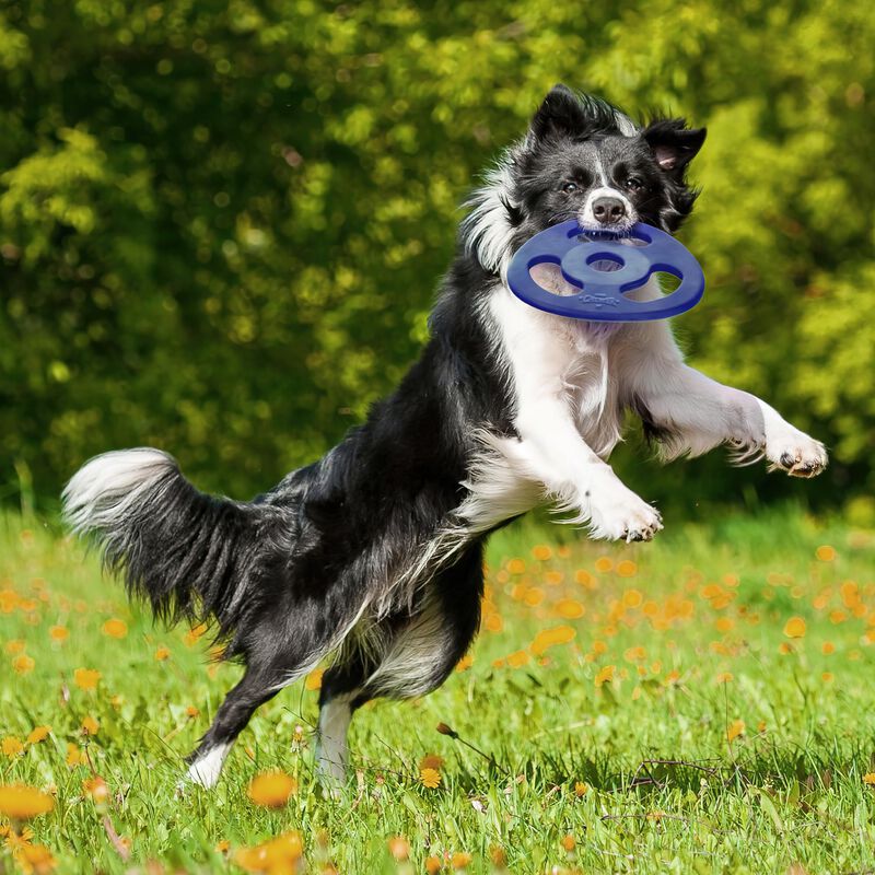 Juguete Para Perro Tuff Pupper Disco Volador De... image number null