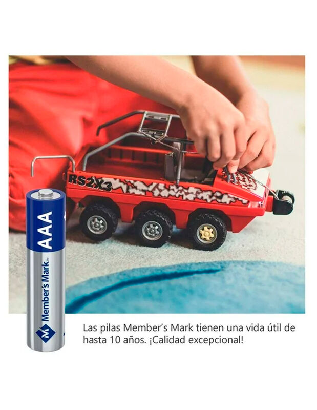 Pila alcalina members mark AAA 48pzs image number null