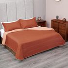 Set Edrecolcha Queen Size Polo One Veloutte Premium Suave