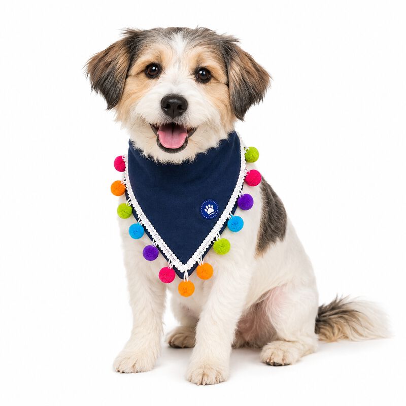 Paliacate Perro Boho Mezclilla Pompones Talla M... image number null