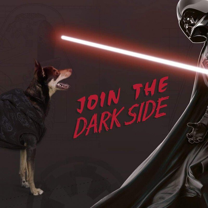 Sudadera Para Perros Darth Vader S Star Wars image number null