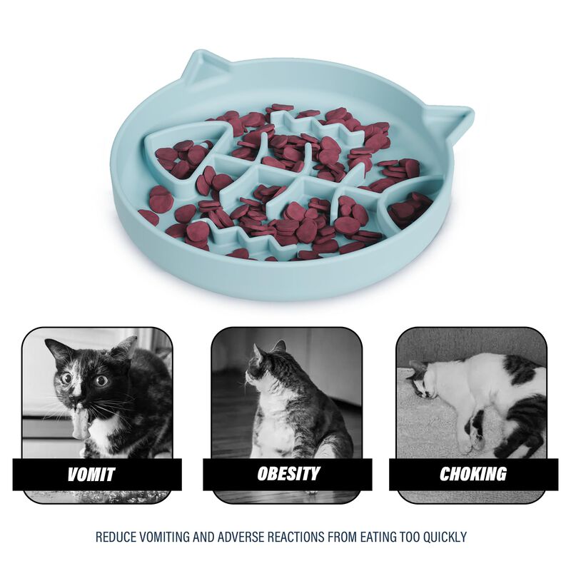 Taz&oacute;n Para Gato Slowpaw De Silicona 240 ml Azul... image number null