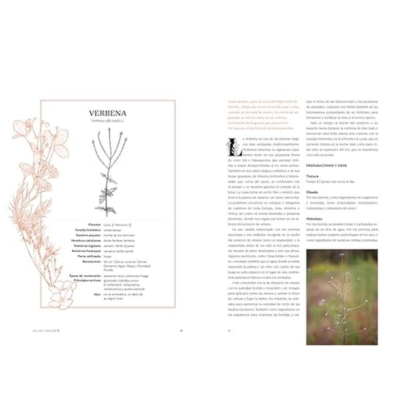 La magia de las plantas Vol. 2 Elemento fuego. ... image number null