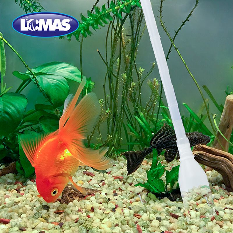 Lomas Sifon Con Bomba image number null