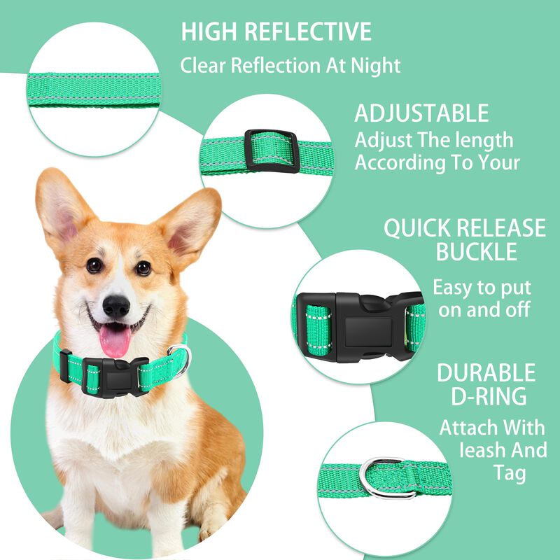 Collar Reflectante Para Perro Maiiu + Correa image number null