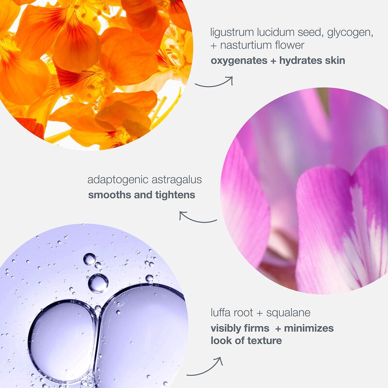 Crema Hidratante Dermalogica Phyto Nature Oxyge... image number null