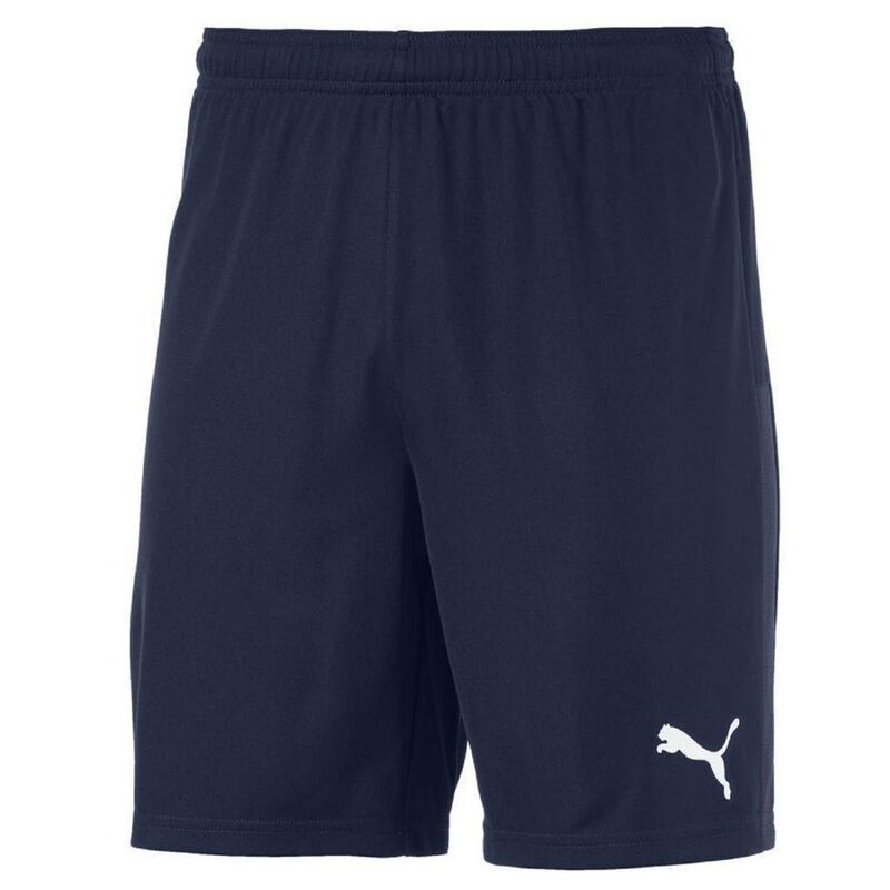 Short Puma Teamgoal 23 Knit Para Hombre image number null