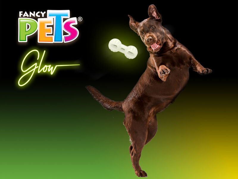 Fancy Pets Juguete Pesa Glow para Perro Brilla ... image number null