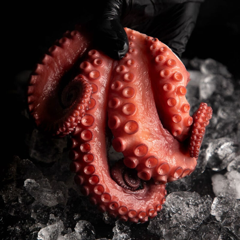 PULPO KRAKEN 1 KG - 1.4 KG image number null