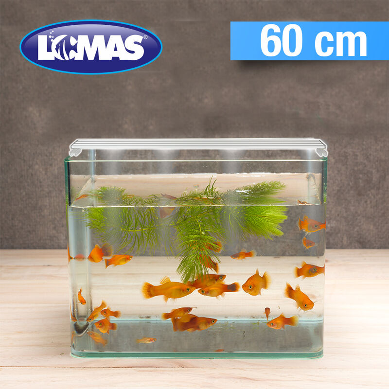 Luminario Spectrum Ii Led 5 W (60 Cm) image number null