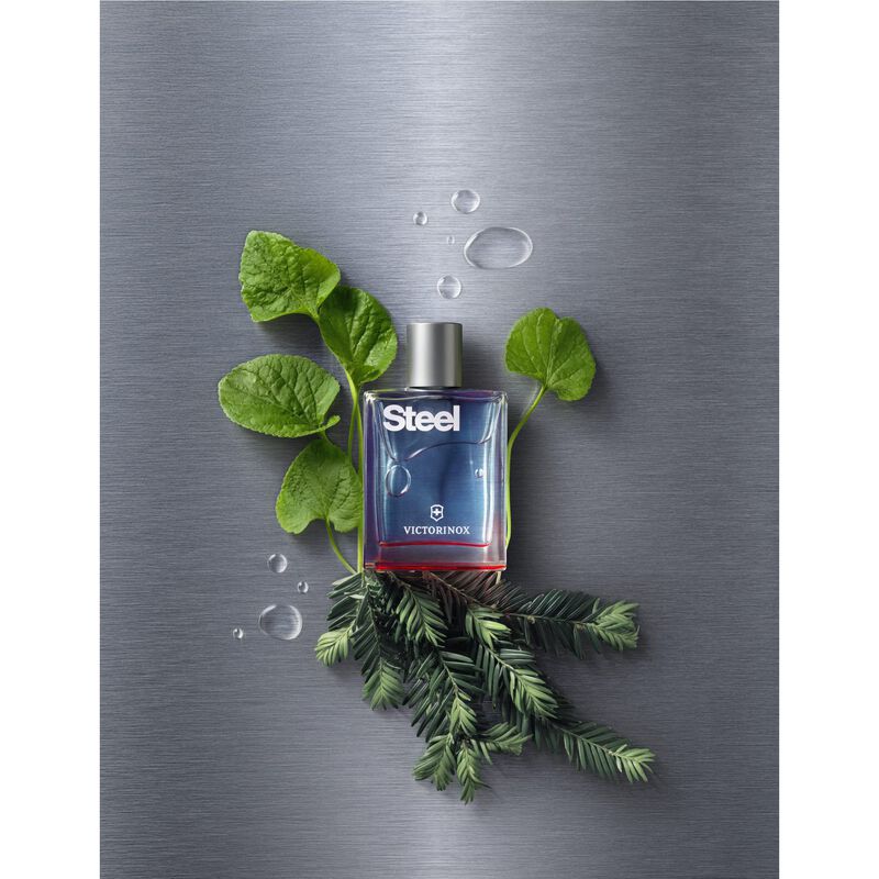 Perfume Victorinox Swiss Army Steel Edt 100 Ml ... image number null