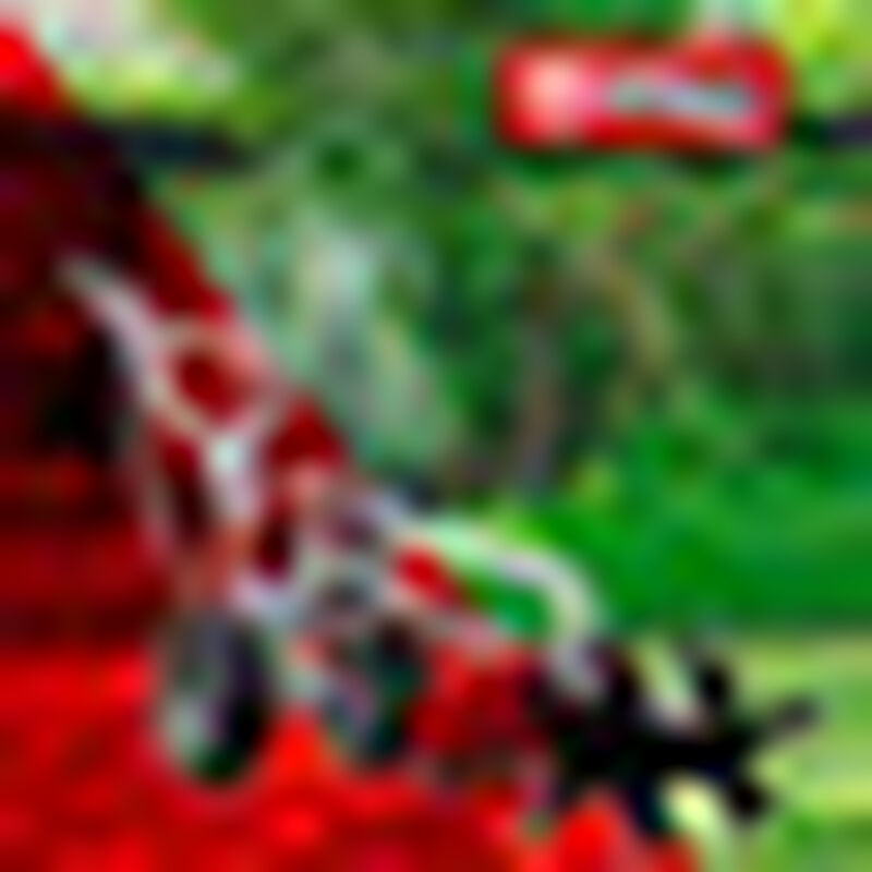 Desbrozadora Multifuncional Motor a Gasolina 2 ... image number null