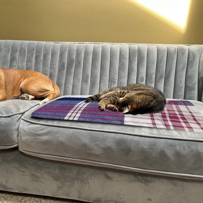 Funda Protectora Para Mascotas Polo One 6 Pack ... image number null