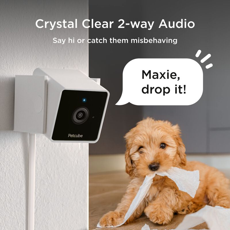 C&aacute;mara De Seguridad Y Wi-fi Para Mascotas Para ... image number null