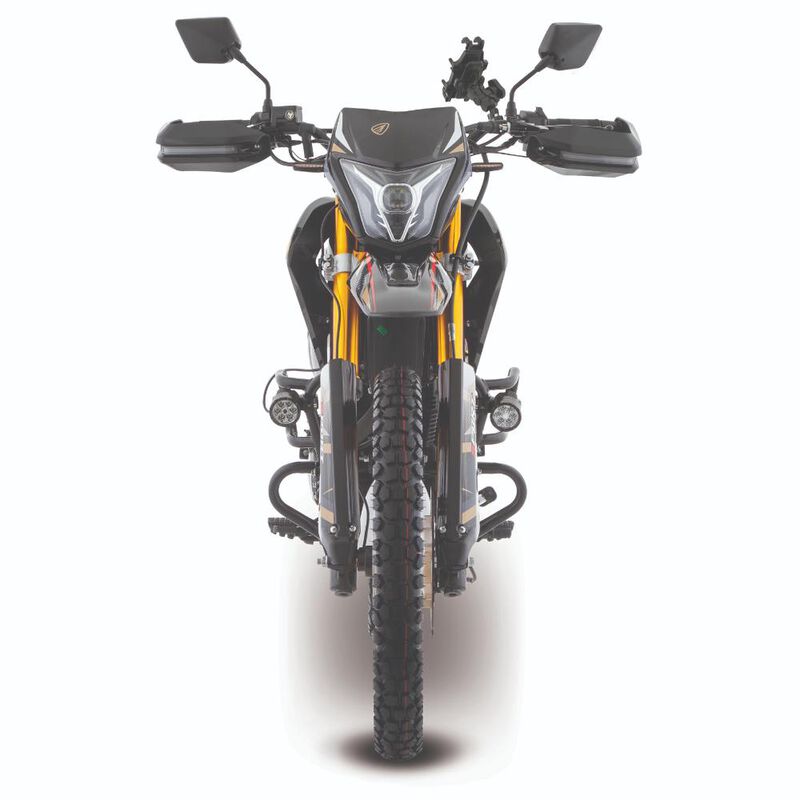 Motocicleta Doble Propósito Italika DM300 Dorad... image number null