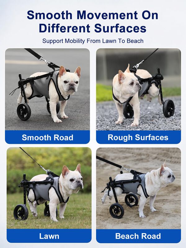 Silla De Ruedas Para Perro Becrowm Ajustable image number null