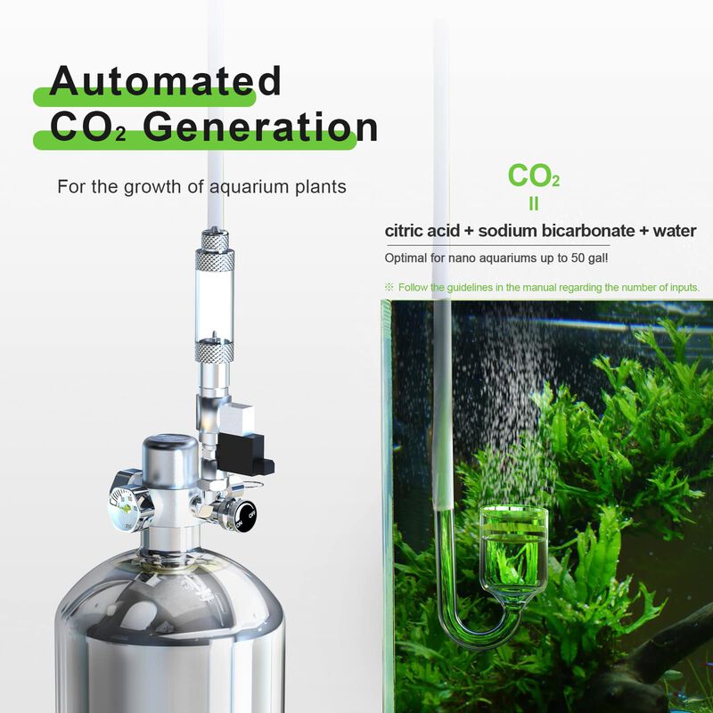 Kit Generador CO2 FZONE 2.5L con Regulador y V&aacute;... image number null