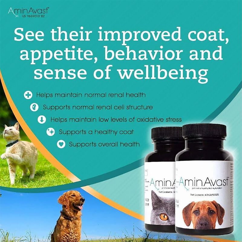 Suplemento Aminavast Kidney Support 300 Mg Para... image number null