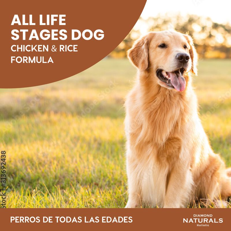 Diamond Naturals Skin & Coat Salmon & Potato Fo... image number null