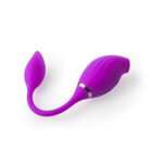 SUCCIONADOR DUAL FEMENINO ALLEN TUTIFRUTI COLOR MORADO