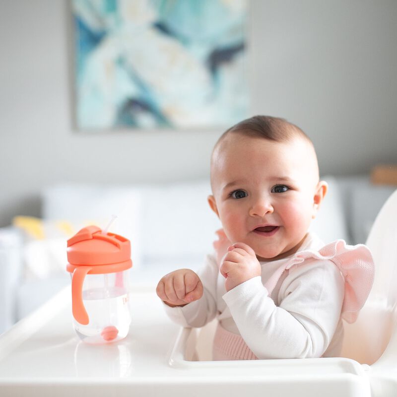 Sippy Cup Dr. Brown's Milestones Baby's First S... image number null