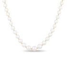 Collar De Oro Amarillo 14k Con Perlas (46cm)