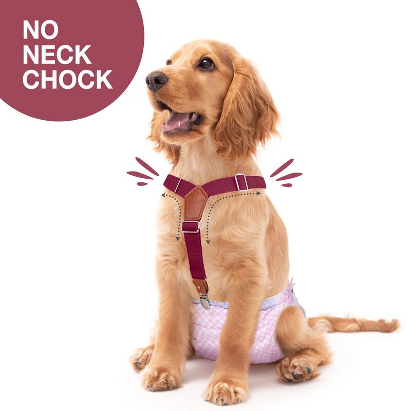 Dog Suspenders Pet Soft Pa&ntilde;ales Keeper Para Per... image number null