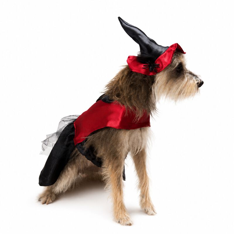 Disfraz Bruja Perro Halloween Talla 6 Mascota P... image number null