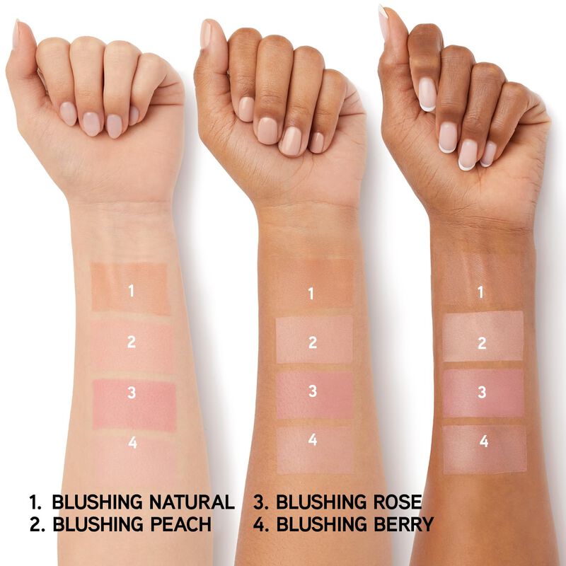 Blush Powder Physicians Formula Powder Polvo Pa... image number null