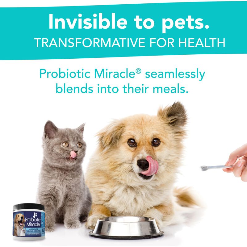Probiotic Miracle Probi&oacute;ticos Para Gatos Y Perr... image number null