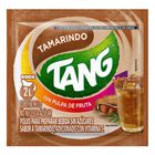 Tang Tamarindo 13g